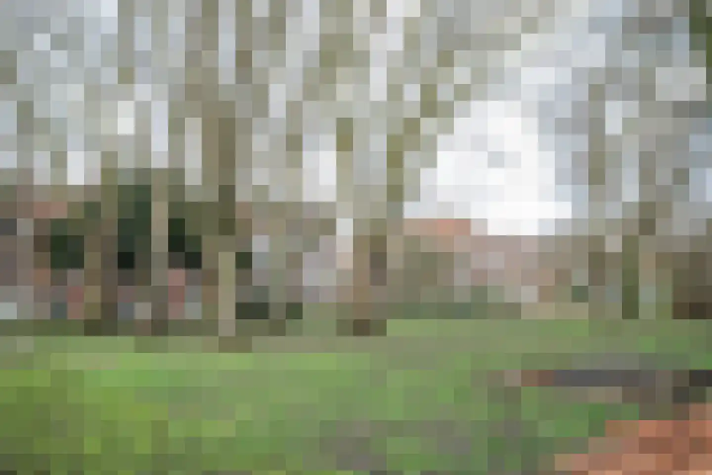 Dr. de Visserstraat 28 B 02 Rotterdam thumbnail 36