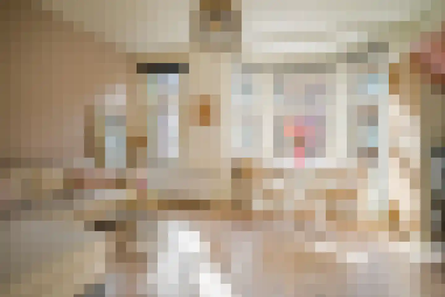 Dr. de Visserstraat 28 B 02 Rotterdam thumbnail 4