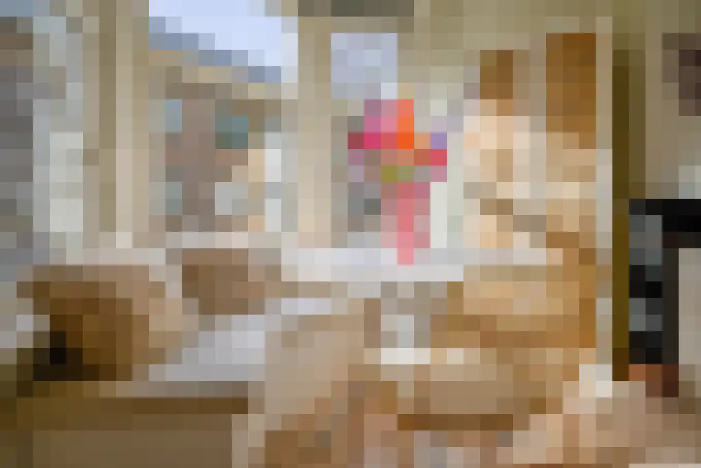 Dr. de Visserstraat 28 B 02 Rotterdam thumbnail 7