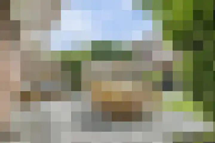 Dr. de Visserstraat 29 Ridderkerk thumbnail 24