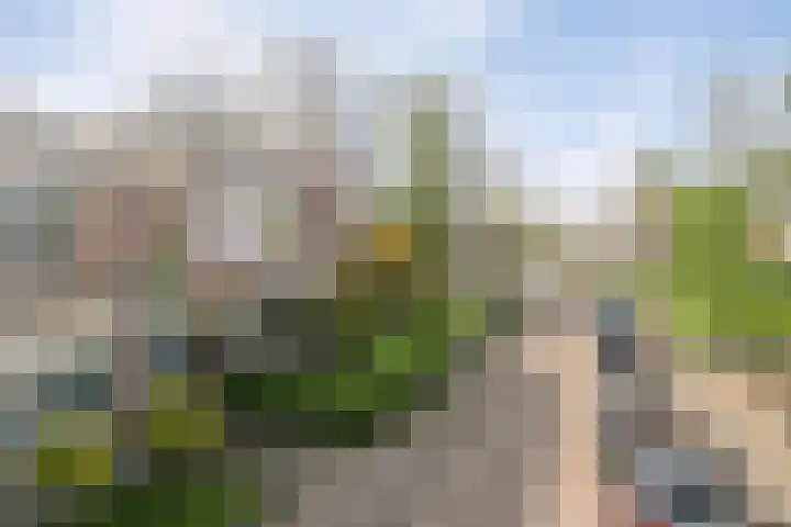 Dr. de Visserstraat 29 Ridderkerk thumbnail 26