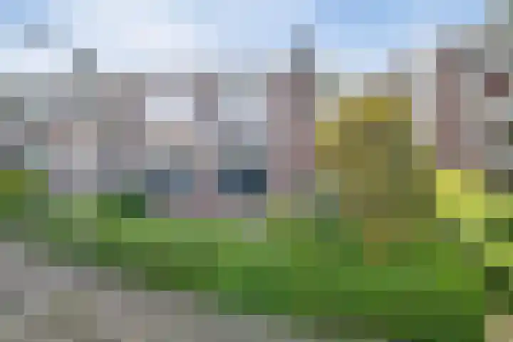 Dr. de Visserstraat 29 Ridderkerk thumbnail 28