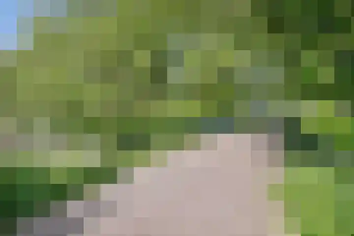 Dr. de Visserstraat 29 Ridderkerk thumbnail 29