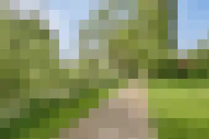 Dr. de Visserstraat 29 Ridderkerk thumbnail 30