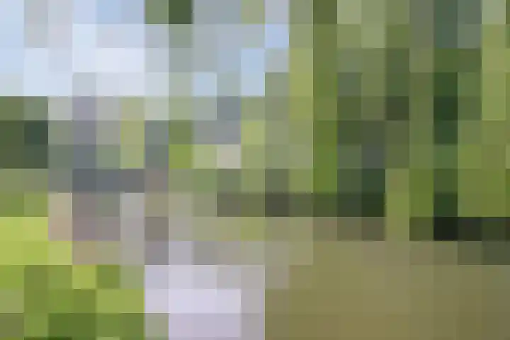 Dr. de Visserstraat 29 Ridderkerk thumbnail 32