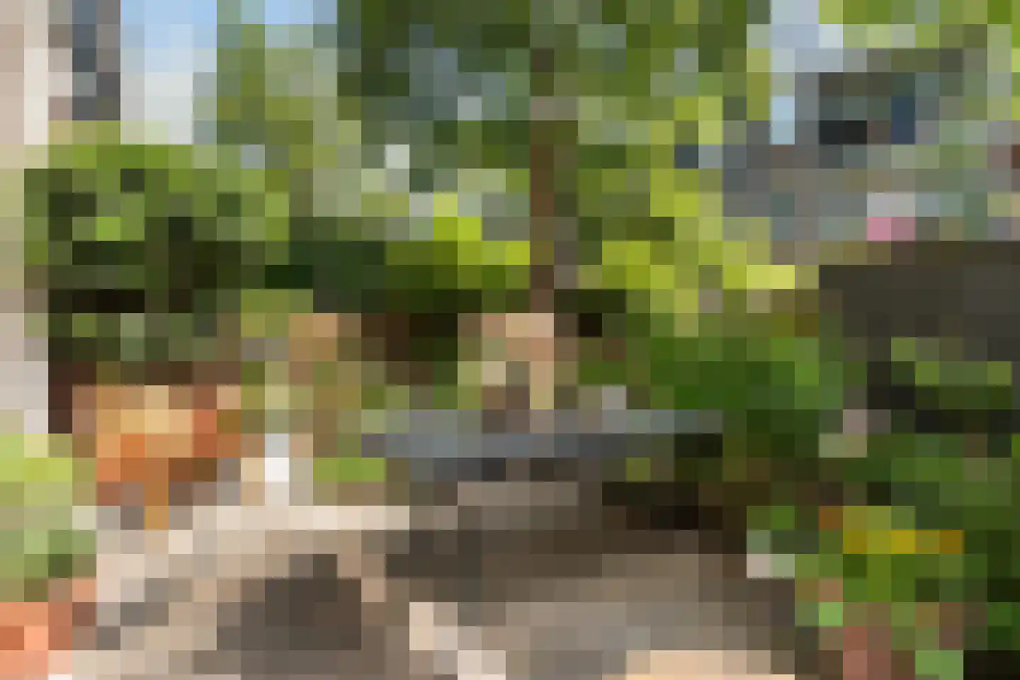 Dr. de Visserstraat 34 B Rotterdam thumbnail 30