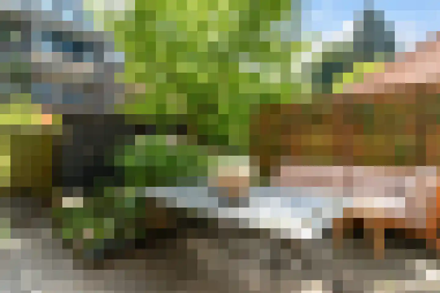 Dr. de Visserstraat 34 B Rotterdam thumbnail 31