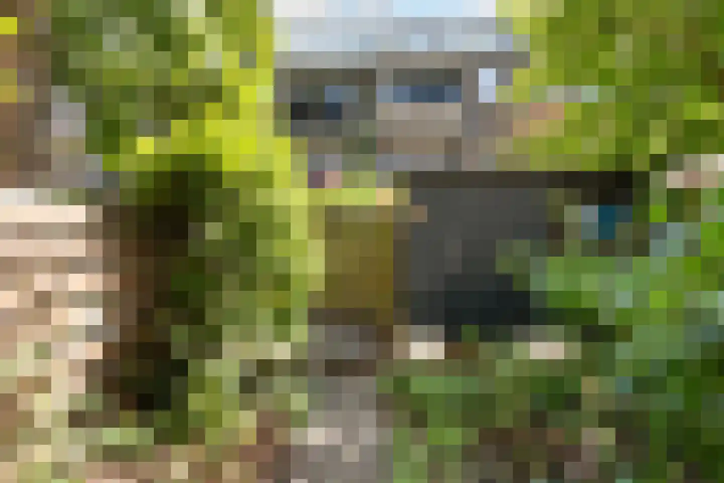 Dr. de Visserstraat 34 B Rotterdam thumbnail 32