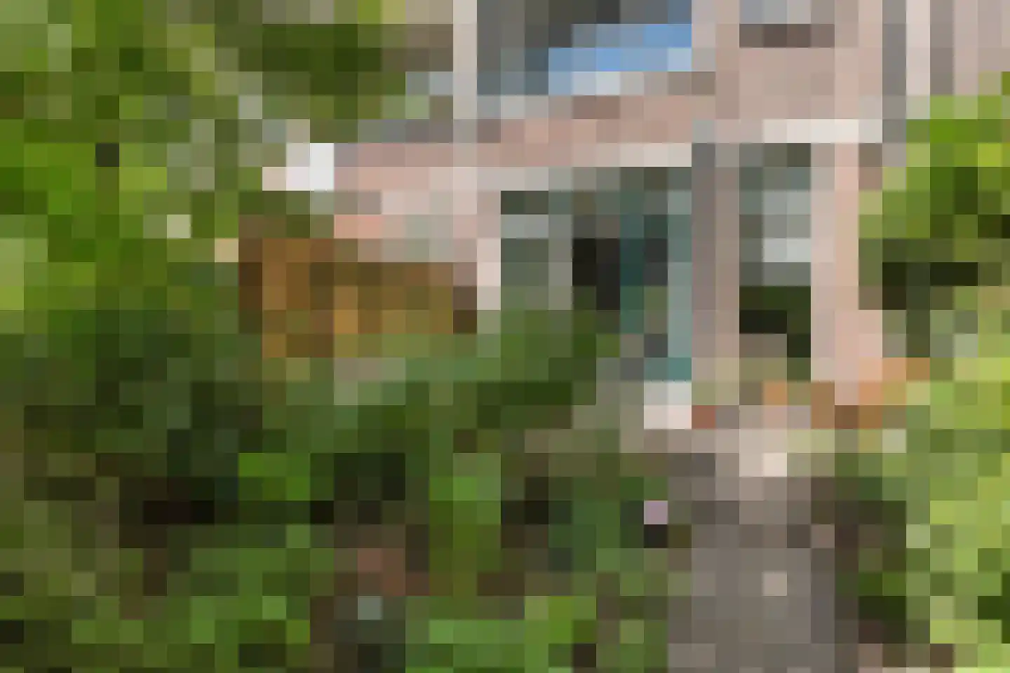 Dr. de Visserstraat 34 B Rotterdam thumbnail 34