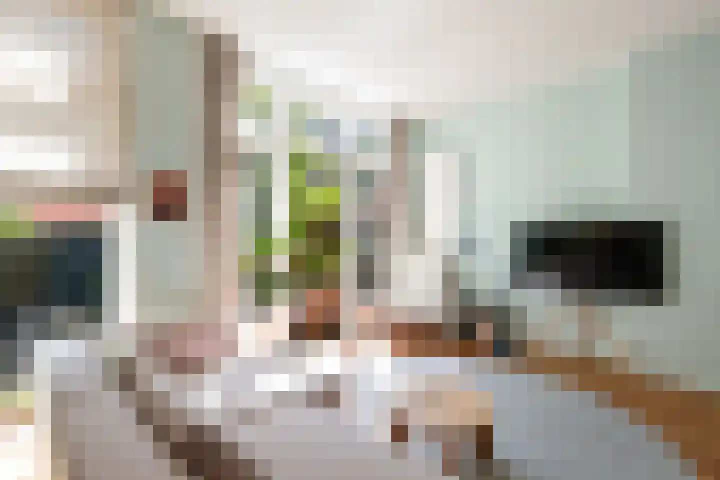 Dr. de Visserstraat 34 B Rotterdam thumbnail 8