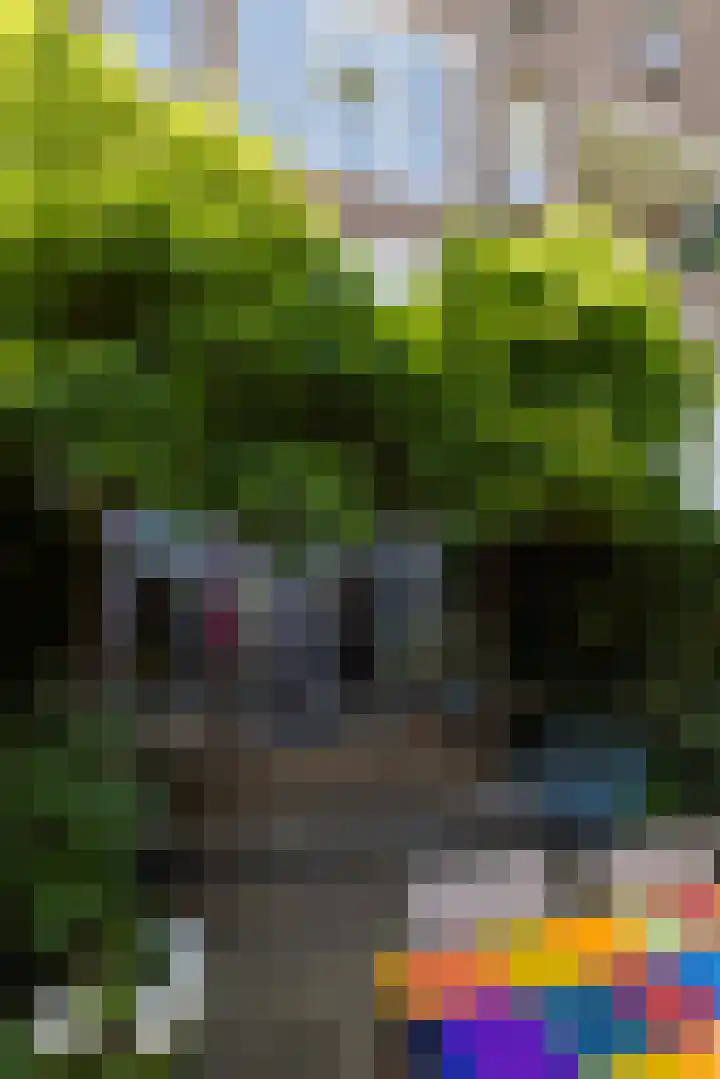 Dr. de Visserstraat 38 B Rotterdam thumbnail 31