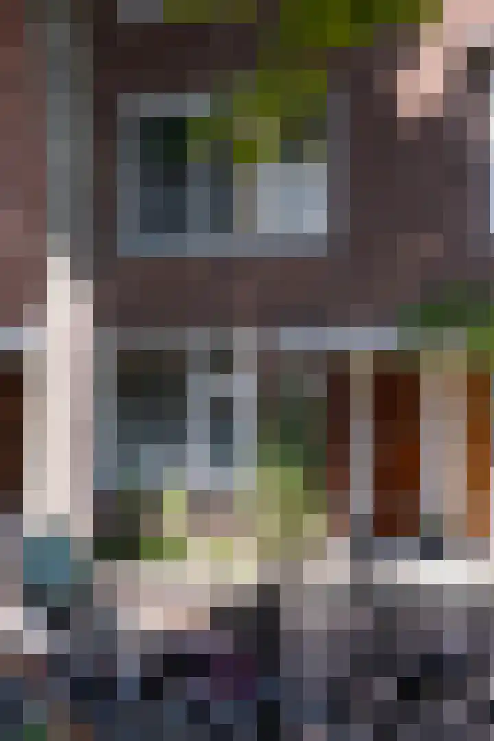 Dr. de Visserstraat 38 B Rotterdam thumbnail 34