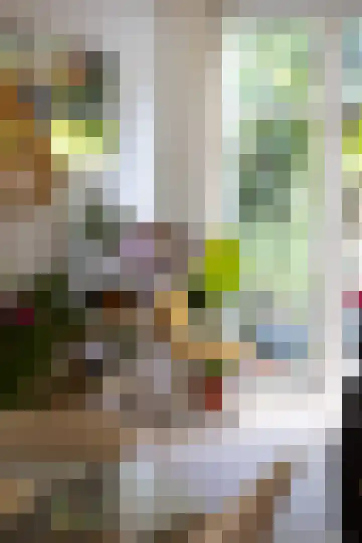 Dr. de Visserstraat 38 B Rotterdam thumbnail 7