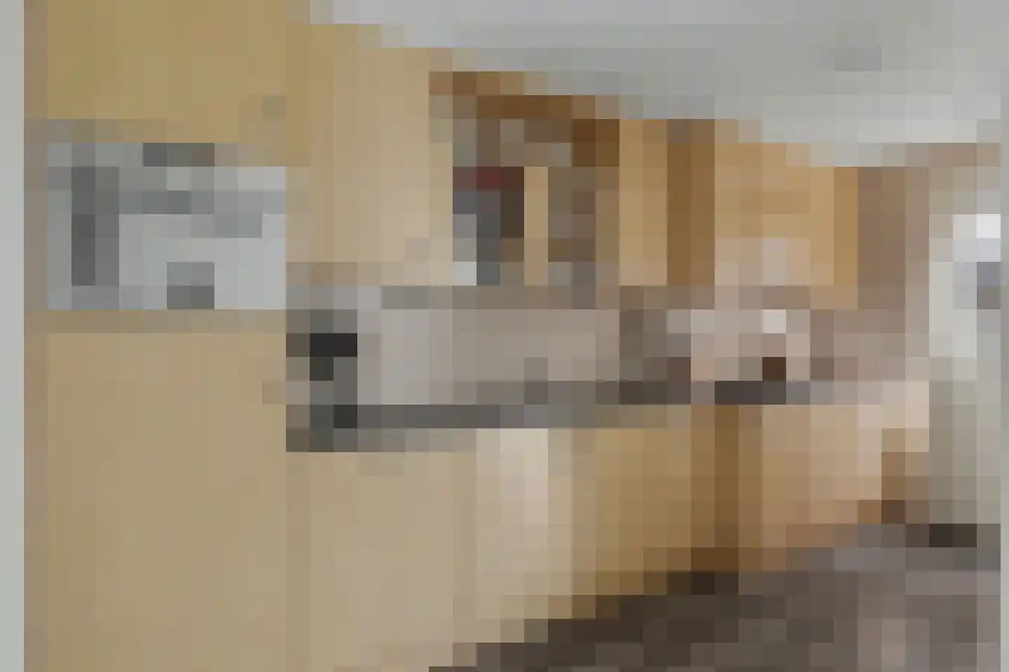 Dr. de Visserstraat 4 Waalwijk thumbnail 10