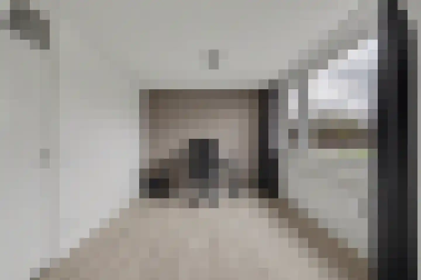 Dr. de Visserstraat 4 Waalwijk thumbnail 13