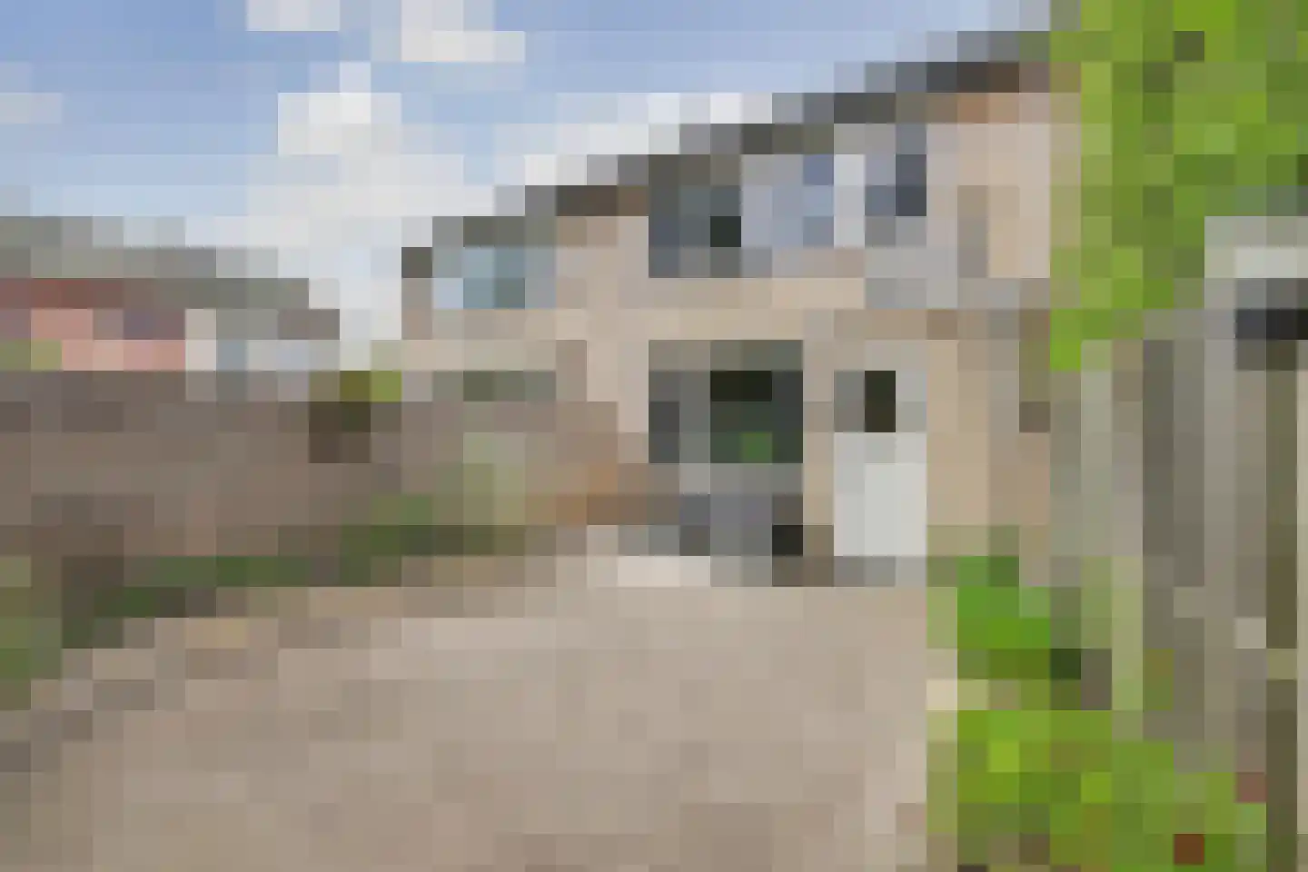 Dr. de Visserstraat 4 Waalwijk thumbnail 22