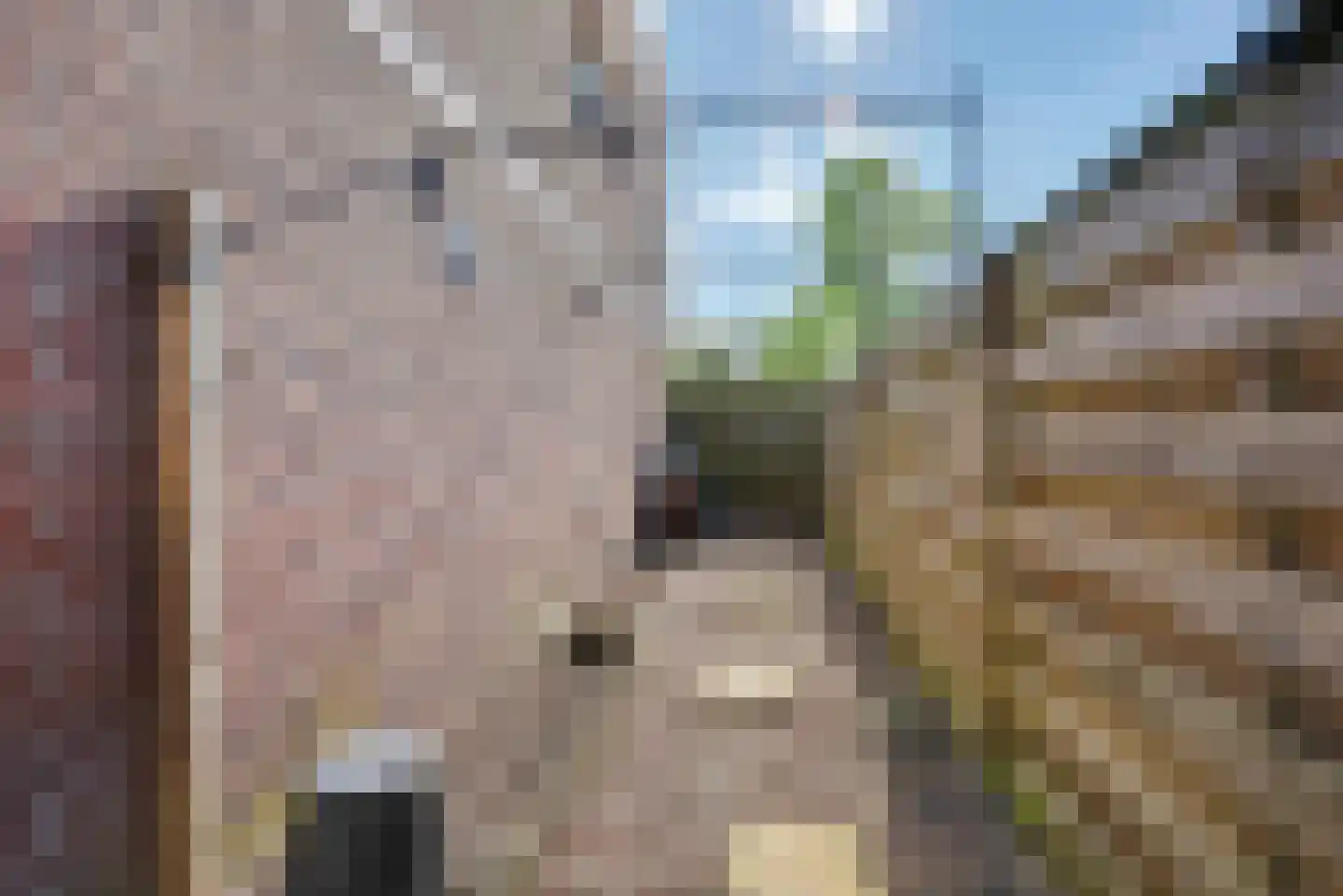 Dr. de Visserstraat 40 Nijmegen thumbnail 37