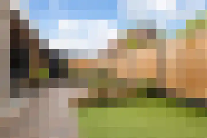 Dr. de Visserstraat 42 Veenendaal thumbnail 29