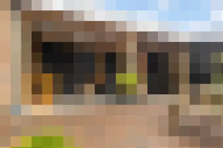 Dr. de Visserstraat 42 Veenendaal thumbnail 30
