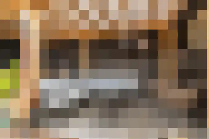 Dr. de Visserstraat 42 Veenendaal thumbnail 31