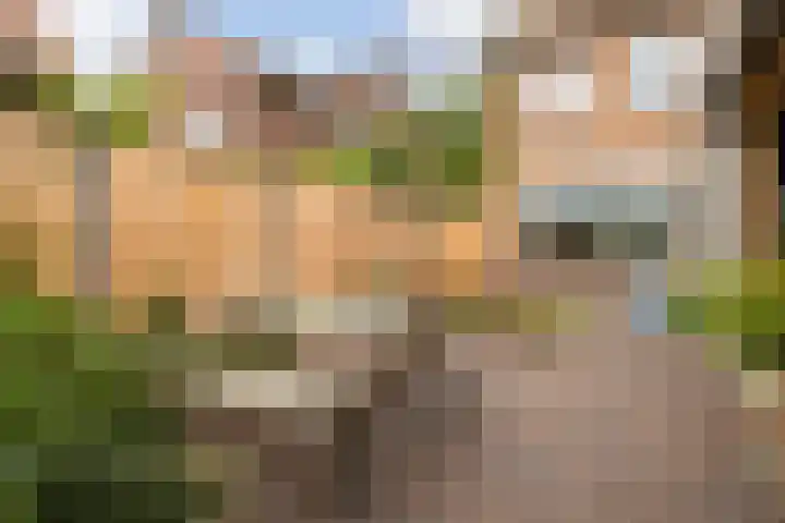 Dr. de Visserstraat 42 Veenendaal thumbnail 33