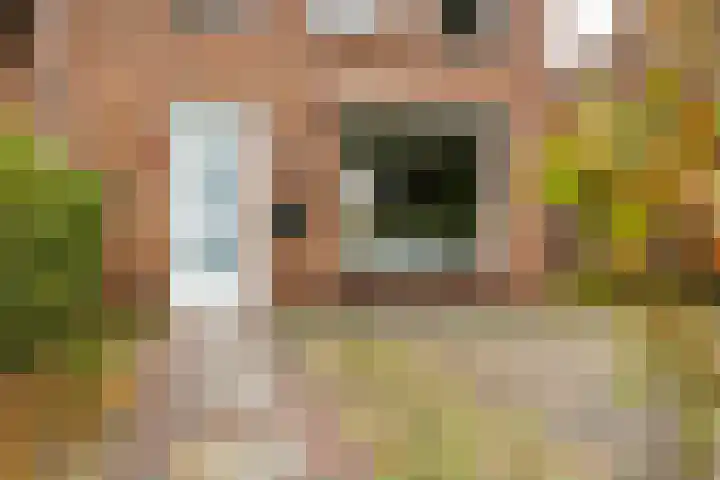 Dr. de Visserstraat 42 Veenendaal thumbnail 34