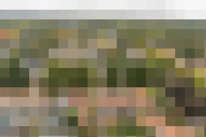 Dr. de Visserstraat 42 Veenendaal thumbnail 39