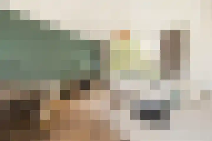 Dr. de Visserstraat 42 Veenendaal thumbnail 4
