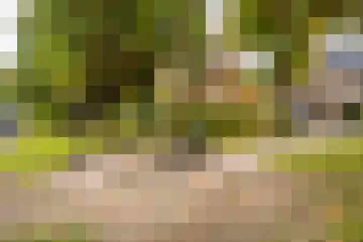 Dr. de Visserstraat 42 Veenendaal thumbnail 40