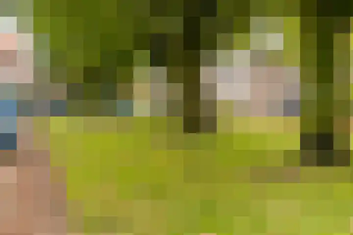 Dr. de Visserstraat 42 Veenendaal thumbnail 41