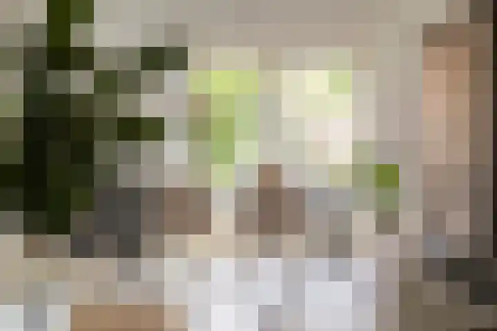 Dr. de Visserstraat 46 Veenendaal thumbnail 10