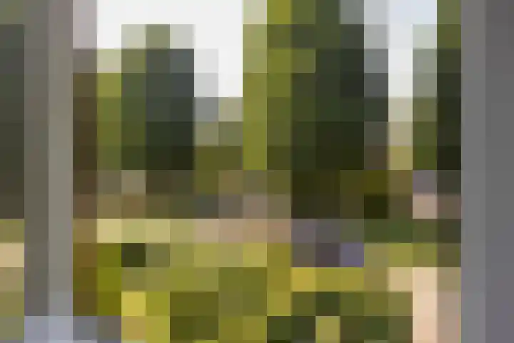 Dr. de Visserstraat 46 Veenendaal thumbnail 21
