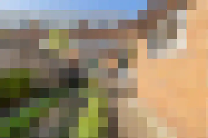 Dr. de Visserstraat 46 Veenendaal thumbnail 32