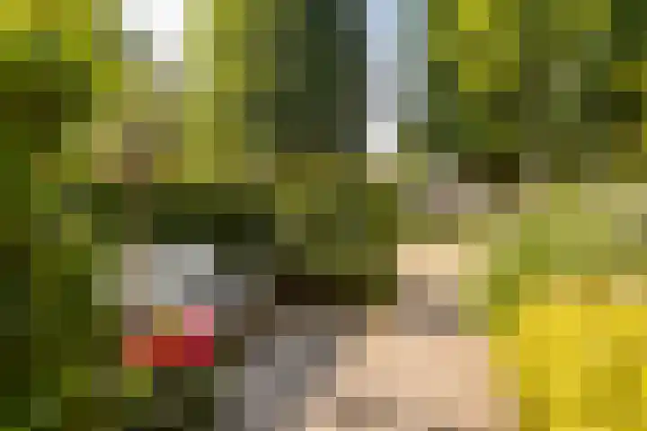 Dr. de Visserstraat 46 Veenendaal thumbnail 33