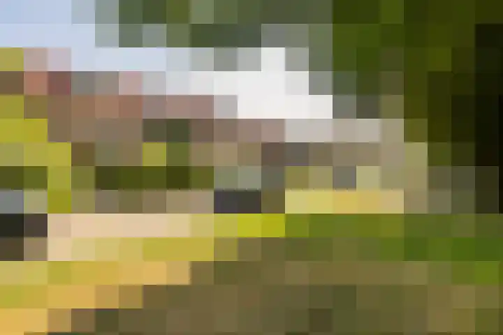 Dr. de Visserstraat 46 Veenendaal thumbnail 34