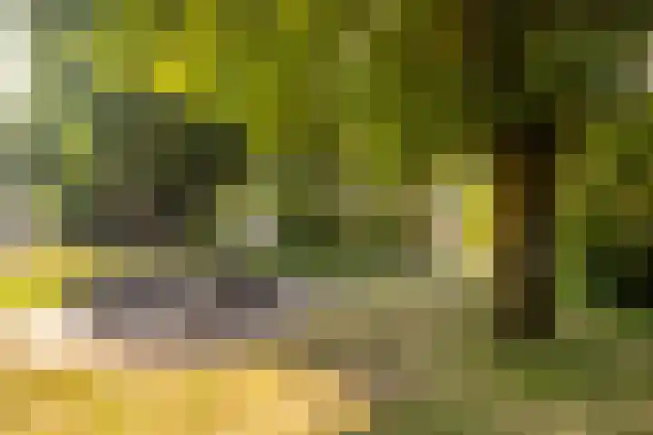 Dr. de Visserstraat 46 Veenendaal thumbnail 35