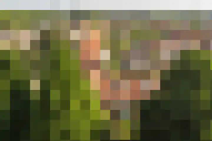 Dr. de Visserstraat 46 Veenendaal thumbnail 37