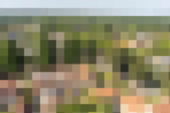 Dr. de Visserstraat 46 Veenendaal thumbnail 39