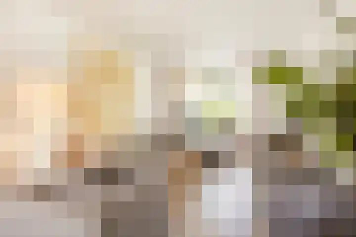 Dr. de Visserstraat 46 Veenendaal thumbnail 5