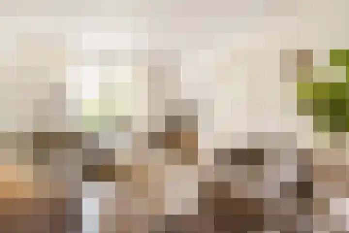 Dr. de Visserstraat 46 Veenendaal thumbnail 6