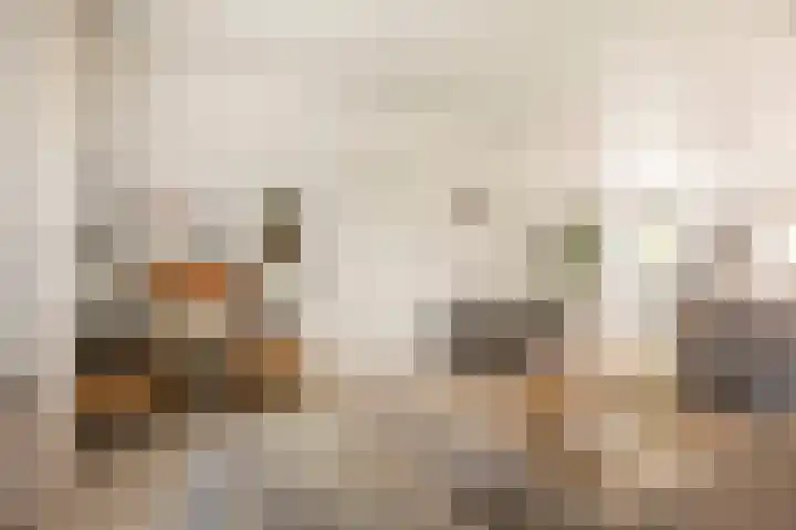 Dr. de Visserstraat 46 Veenendaal thumbnail 7
