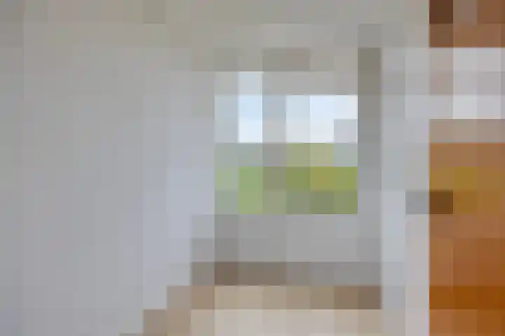 Dr. de Visserstraat 47 Ridderkerk thumbnail 17