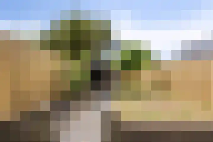 Dr. de Visserstraat 47 Ridderkerk thumbnail 18