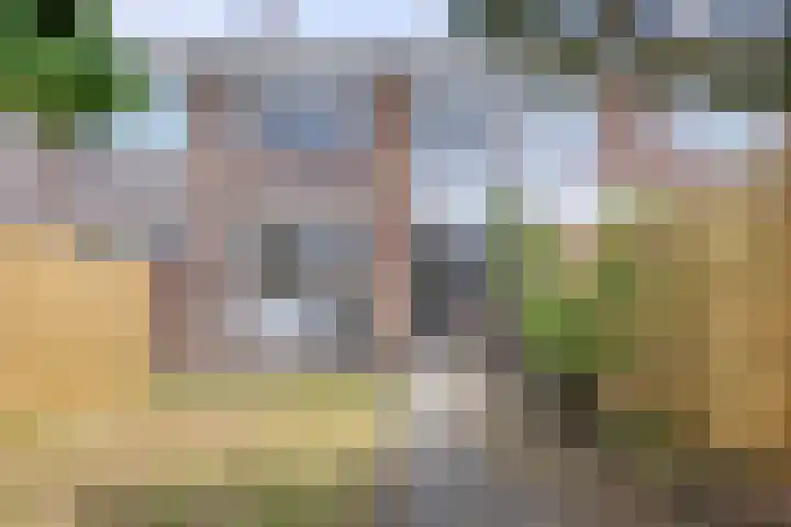 Dr. de Visserstraat 47 Ridderkerk thumbnail 20