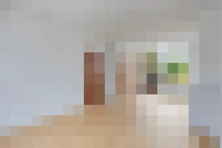 Dr. de Visserstraat 47 Ridderkerk thumbnail 6