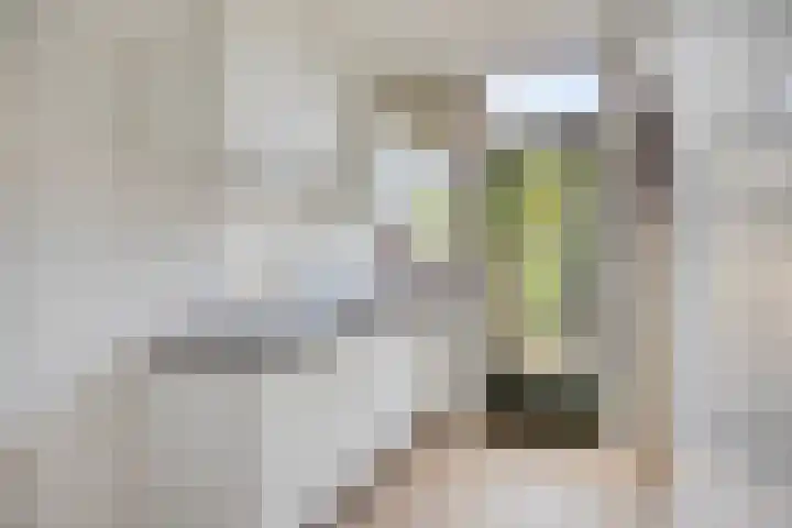 Dr. de Visserstraat 47 Ridderkerk thumbnail 7