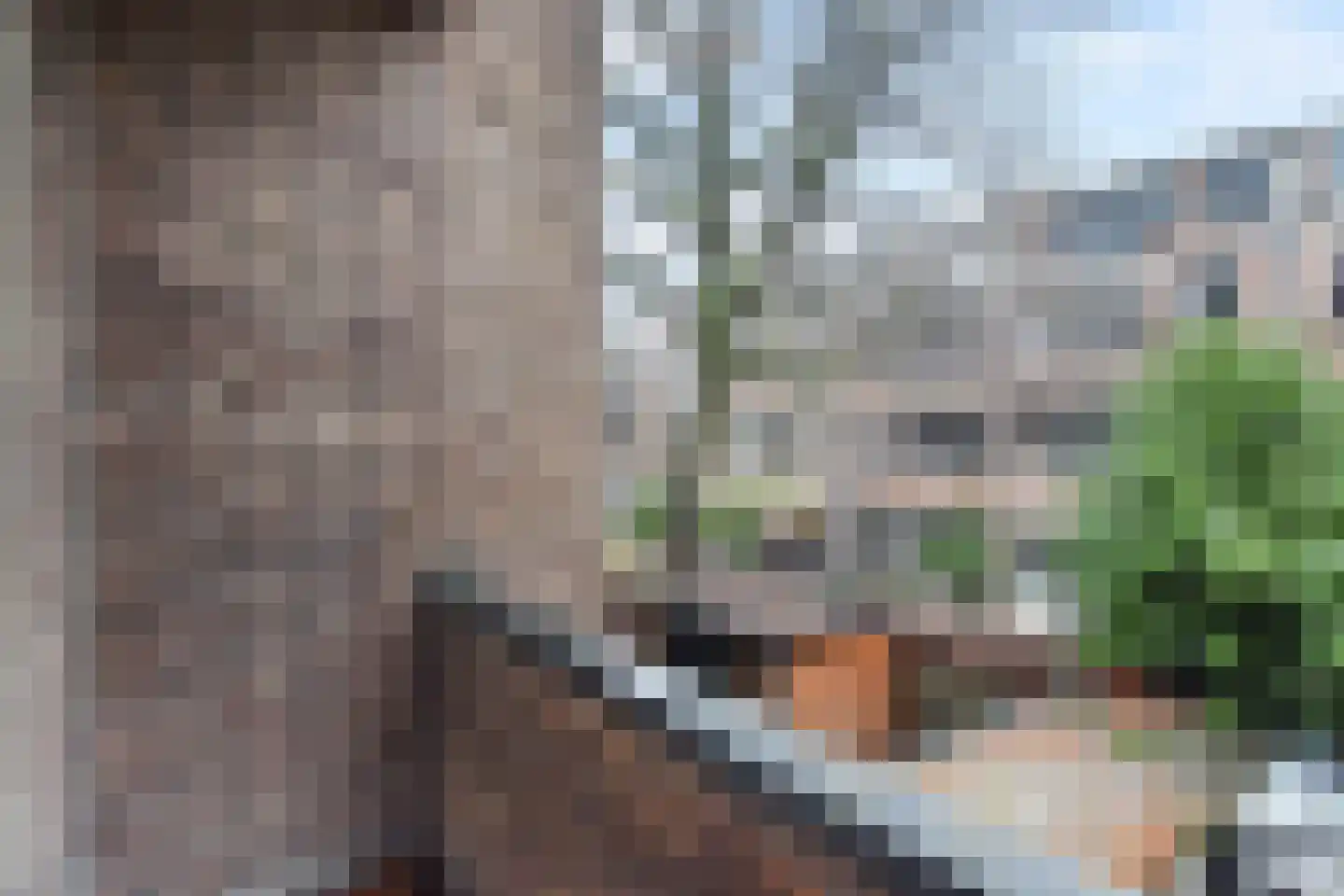 Dr. de Visserstraat 62 B 02 Rotterdam thumbnail 10