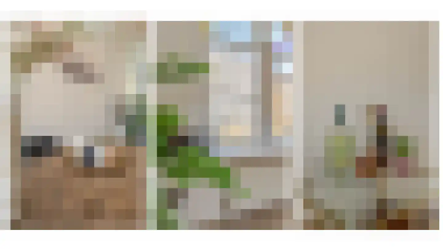 Dr. de Visserstraat 82 B Rotterdam thumbnail 12