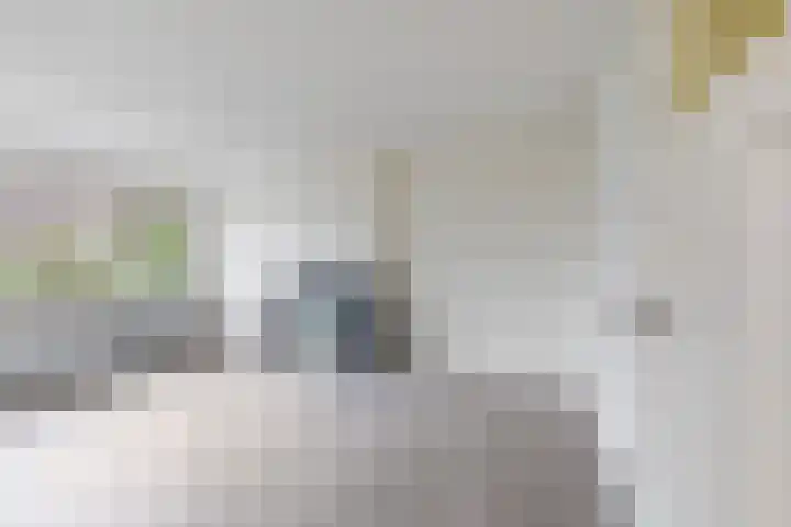 Dr. de Visserstraat 86 B Rotterdam thumbnail 37