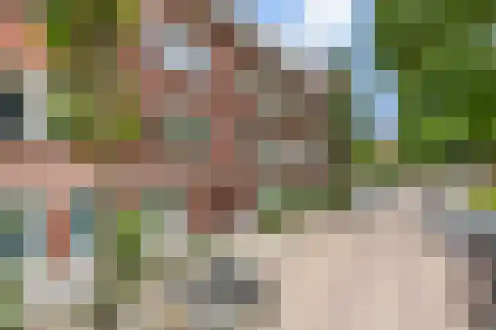 Dr. de Visserstraat 86 B Rotterdam thumbnail 4